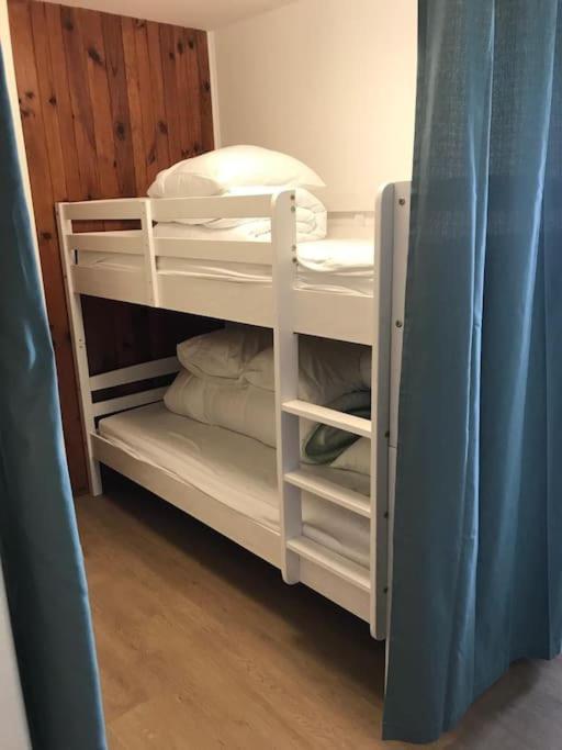 Appartement 4 Pers Tour De La Biche Skis Aux Pieds Besse-et-Saint-Anastaise Exteriör bild