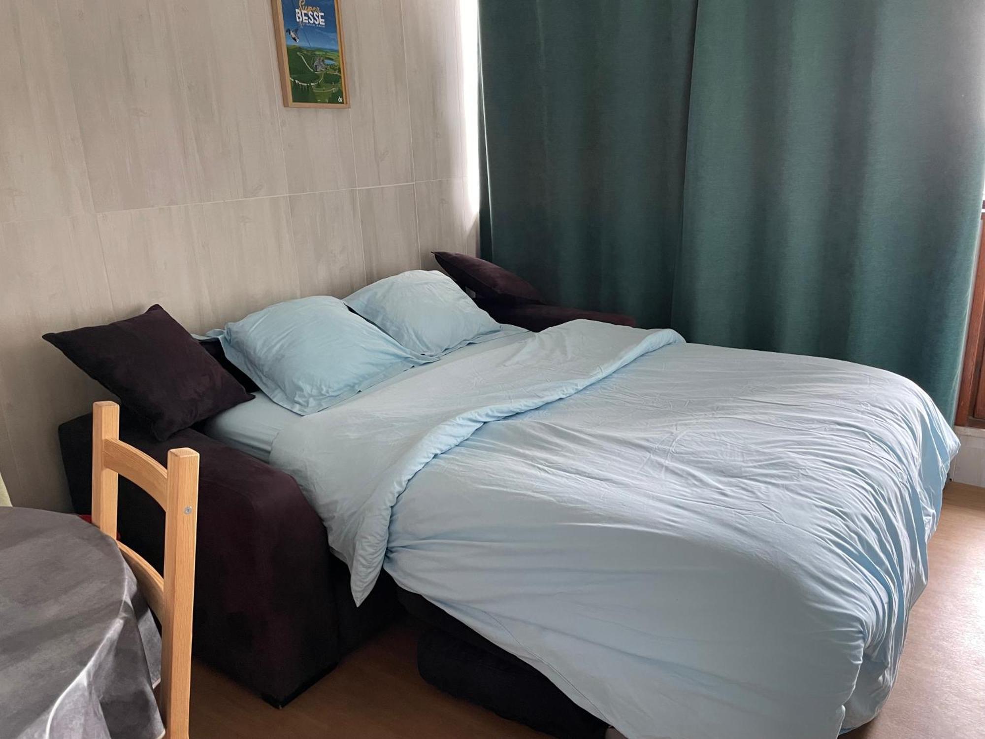Appartement 4 Pers Tour De La Biche Skis Aux Pieds Besse-et-Saint-Anastaise Exteriör bild